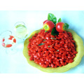Sunshine Super Fruit Dried Goji Berries-280 granos / 380grains / 580grains / 680grains